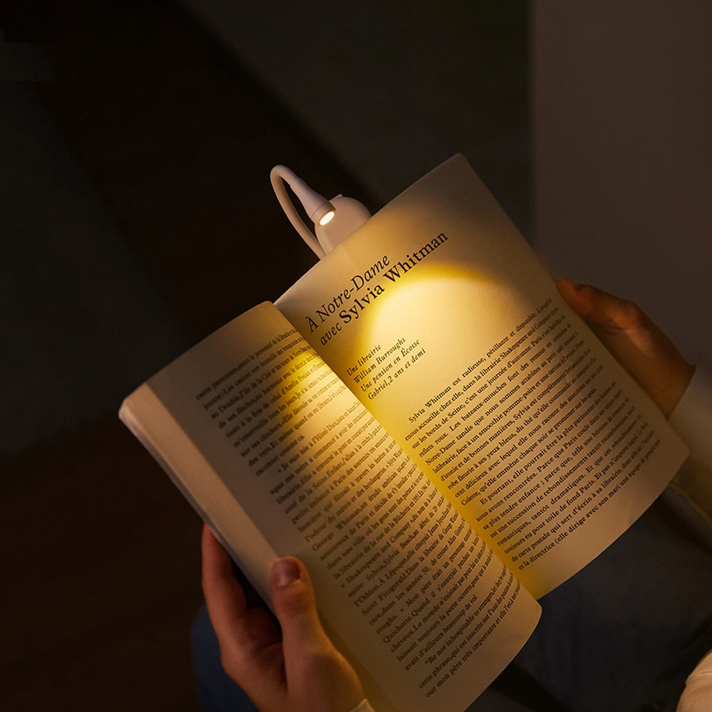 Mini LED Eye-Protection Desk Lamp