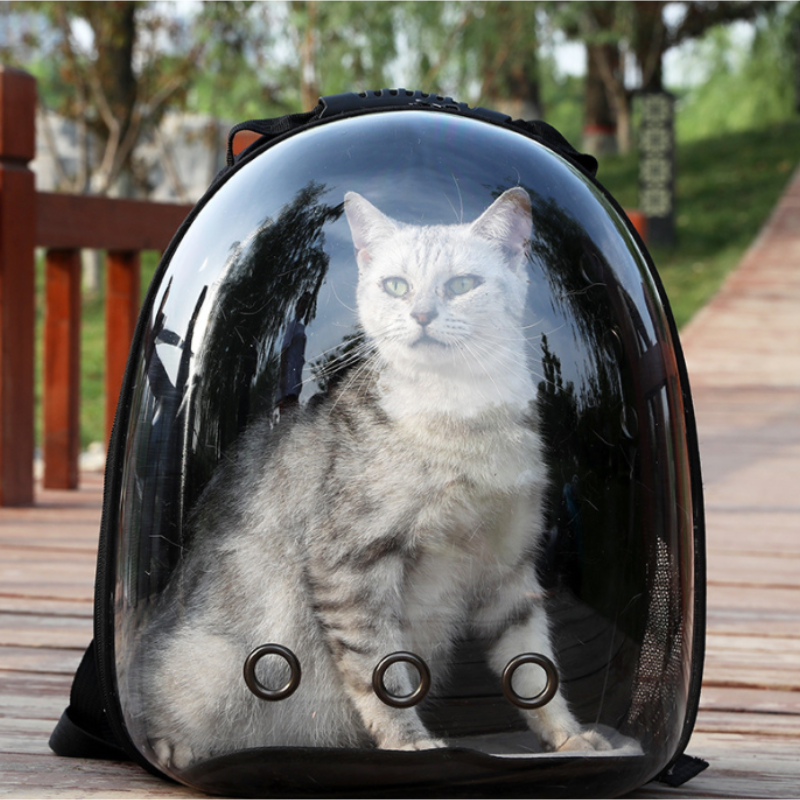 Transparent Pet Backpacks